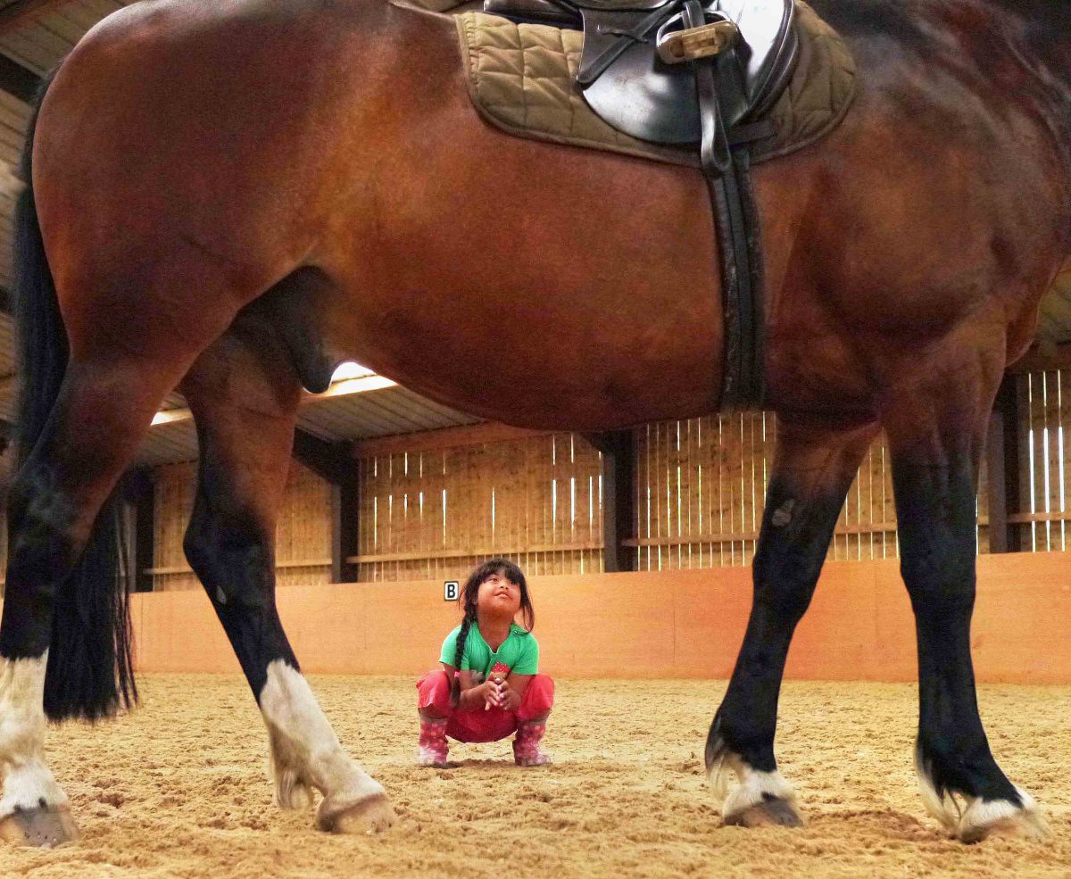 Dewni loves and admires a horse